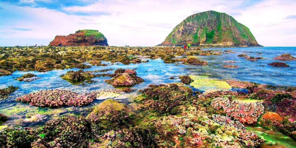 Để đảm bảo an toàn